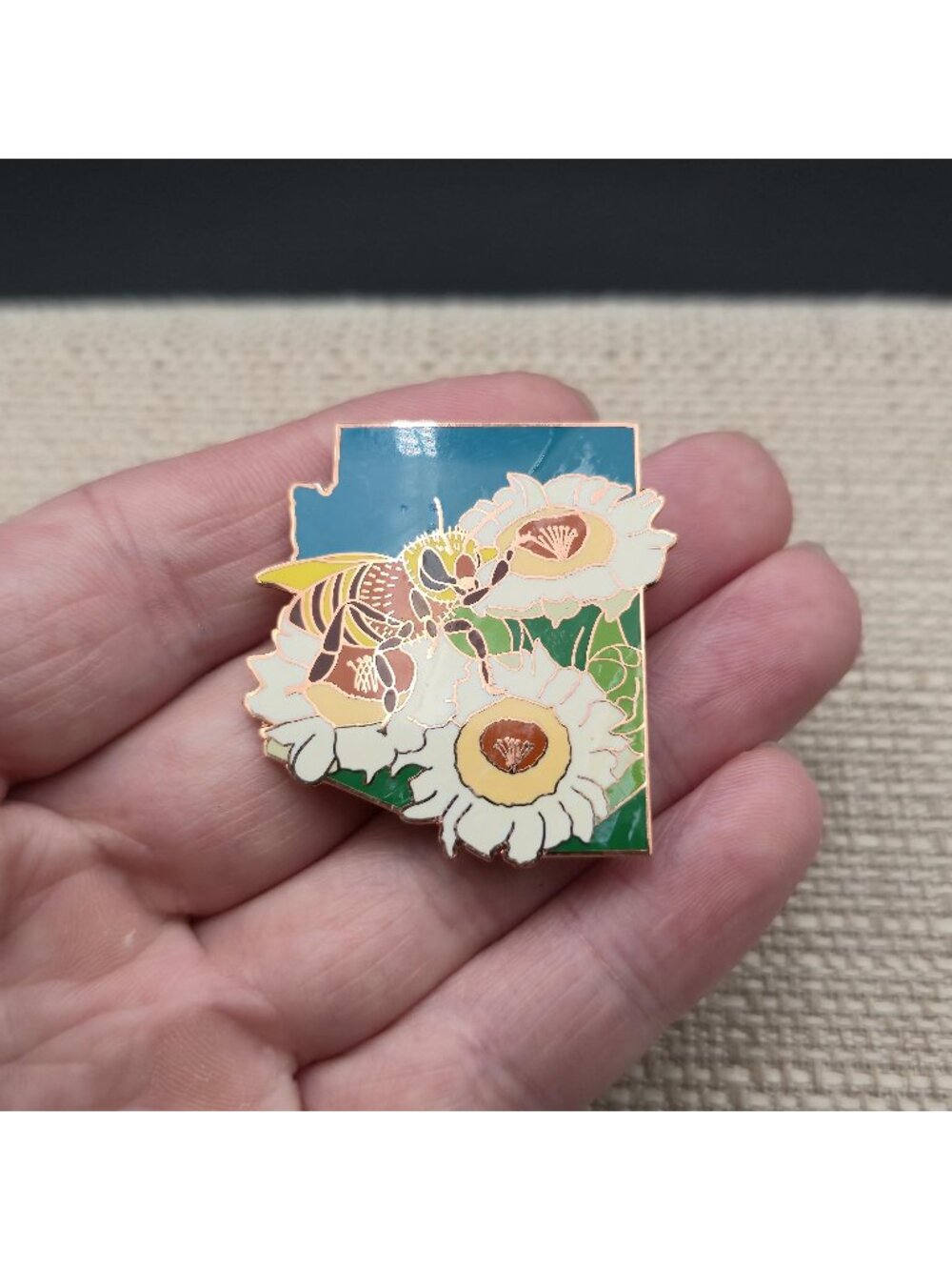Arizona State Map Saguaro Cactus Flower Honey Bee Enamel Travel Lapel Pin A8761